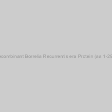Image of Recombinant Borrelia Recurrentis era Protein (aa 1-290)